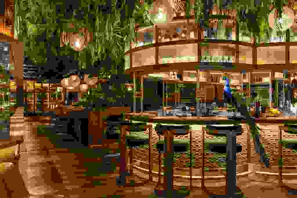 Amazonico London Bar